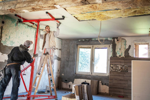 Best Insulation Installation Services in Ozark, MO