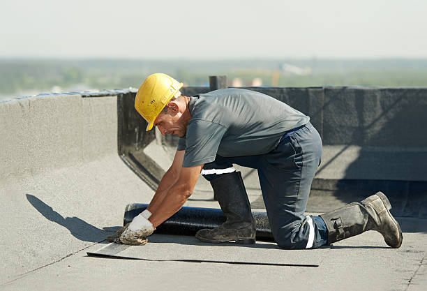 Best Commercial Insulation in Ozark, MO