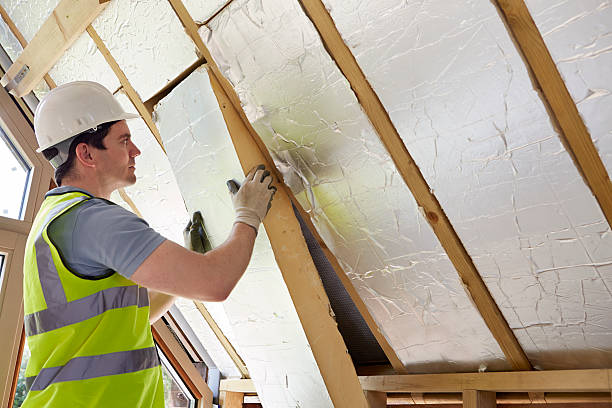 Best Insulation Maintenance and Repair in Ozark, MO